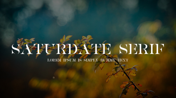 SATURDATE SERIF Font