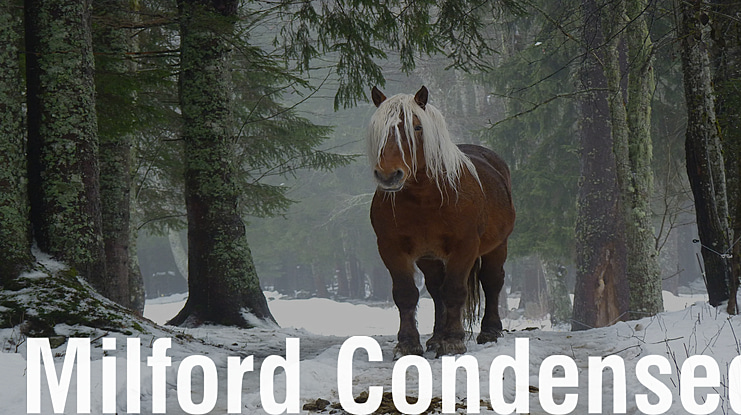 Milford Condensed Font Family