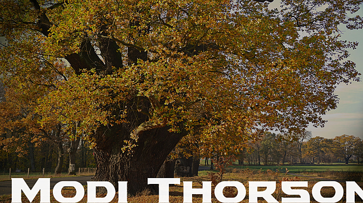 Modi Thorson Font Family