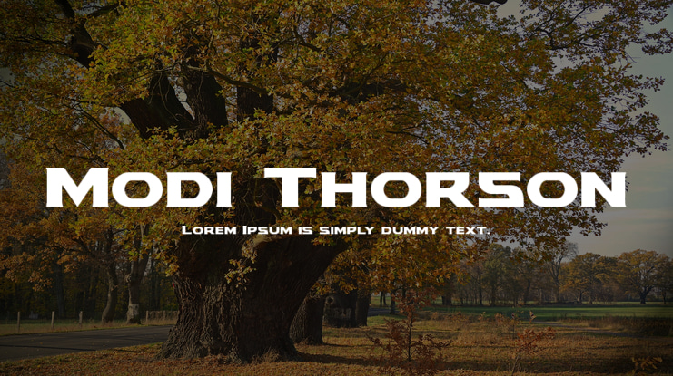Modi Thorson Font Family