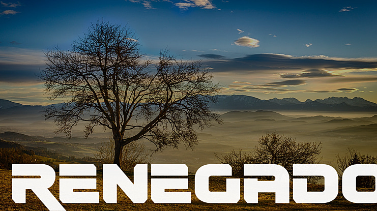 Renegado Font Family