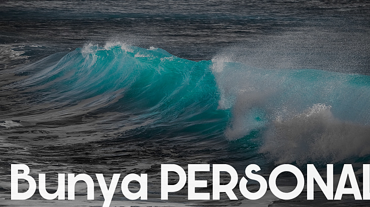 Bunya PERSONAL Font Family