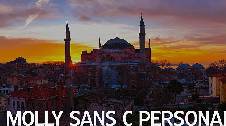 Molly Sans Font Family