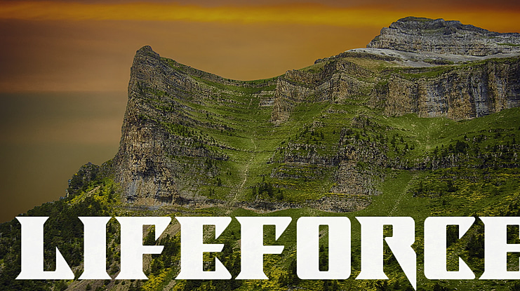 Lifeforce Font Family