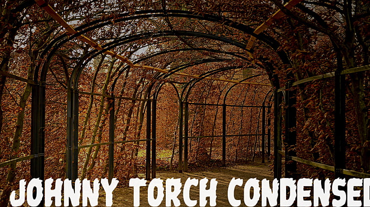 Johnny Torch Font Family