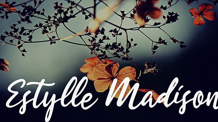Estylle Madison Font