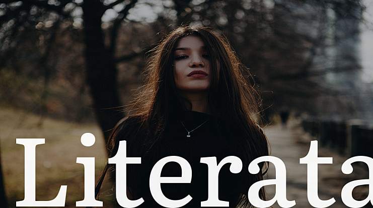 Literata Font Family