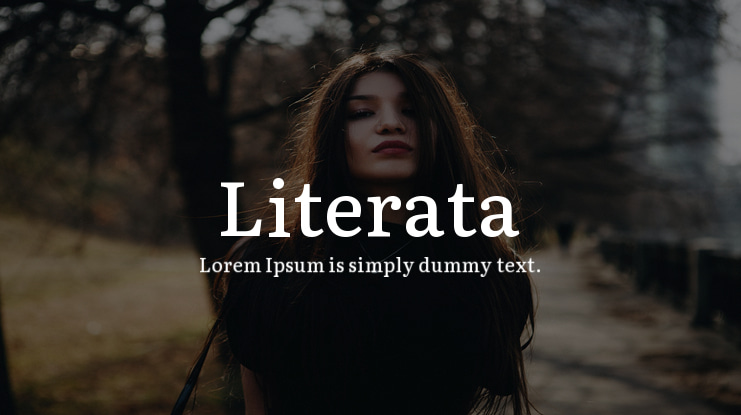 Literata Font Family