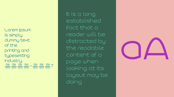 Roona Sans  PERSONAL Font Family