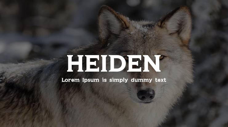 HEIDEN Font