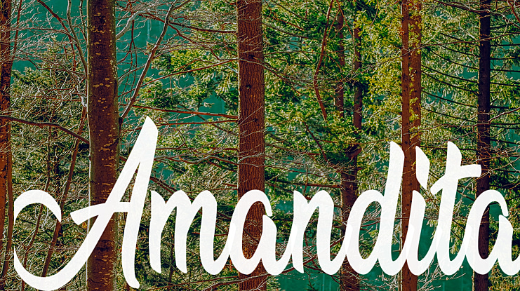 Amandita Font