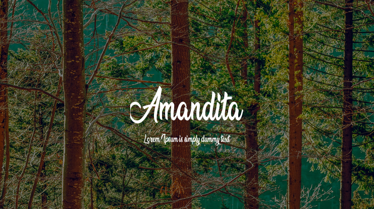 Amandita Font