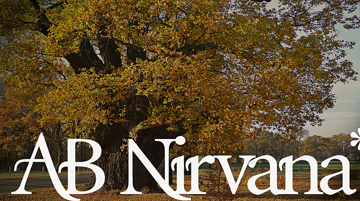 AB Nirvana* Font