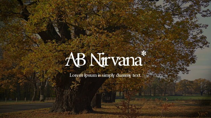 AB Nirvana* Font