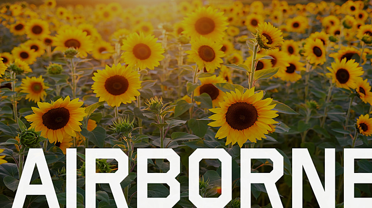 Airborne Font Family