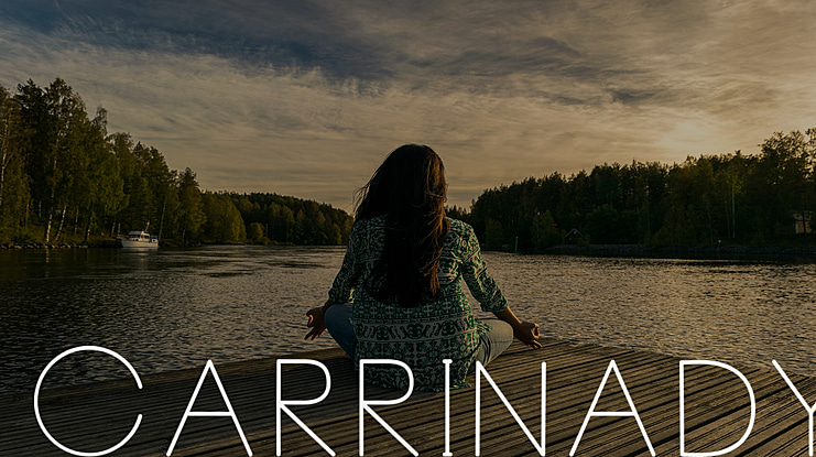 Carrinady Font