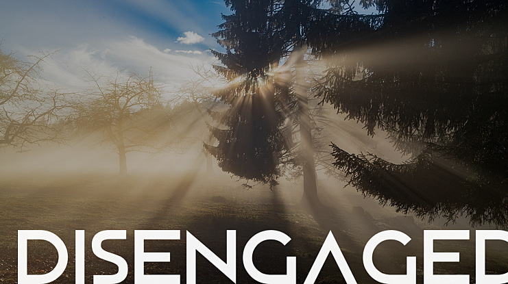 Disengaged Font