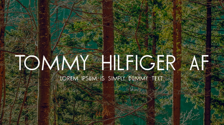 TOMMY HILFIGER AF Font
