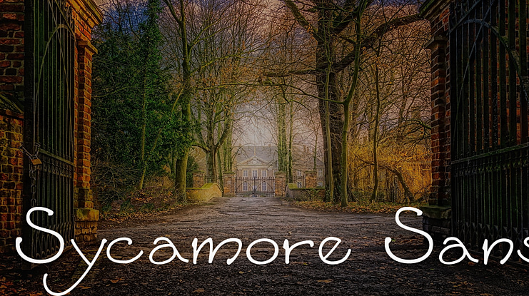 Sycamore Sans Font