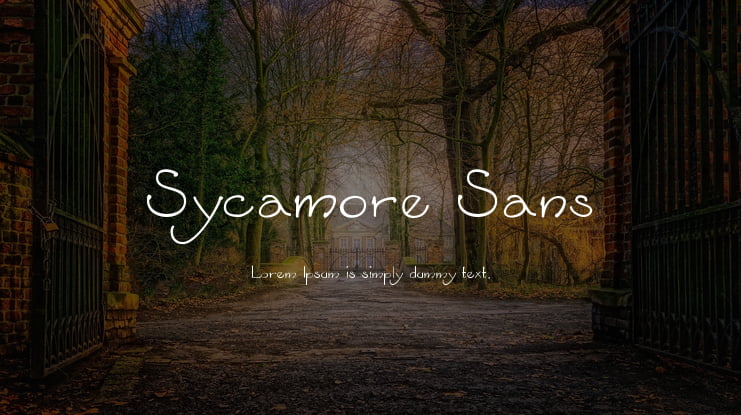 Sycamore Sans Font