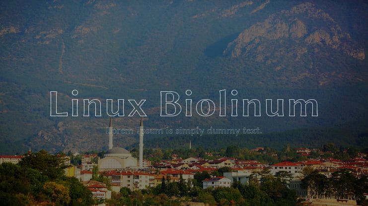 Linux Biolinum Font Family