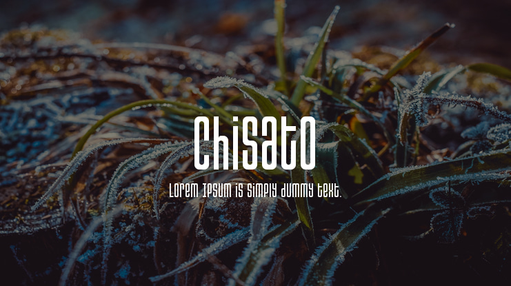 Chisato Font