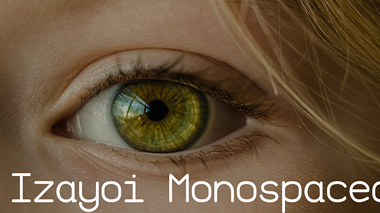 Izayoi Monospaced Font