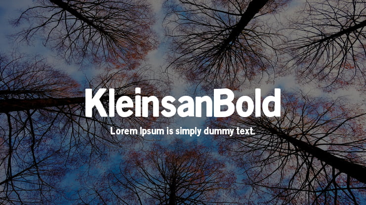 KleinsanBold Font