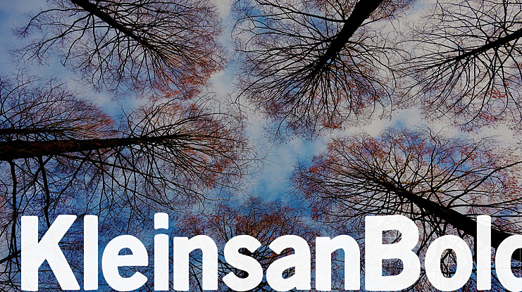 KleinsanBold Font