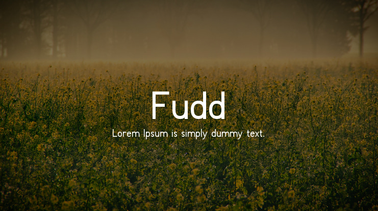 Fudd Font Family