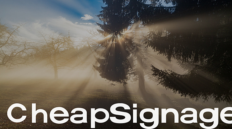 CheapSignage Font