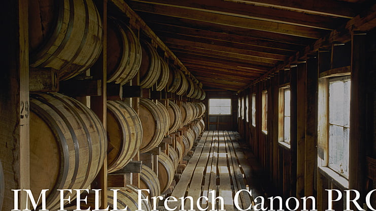 IM FELL French Canon PRO Font Family