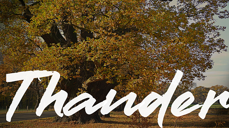 Thander Font