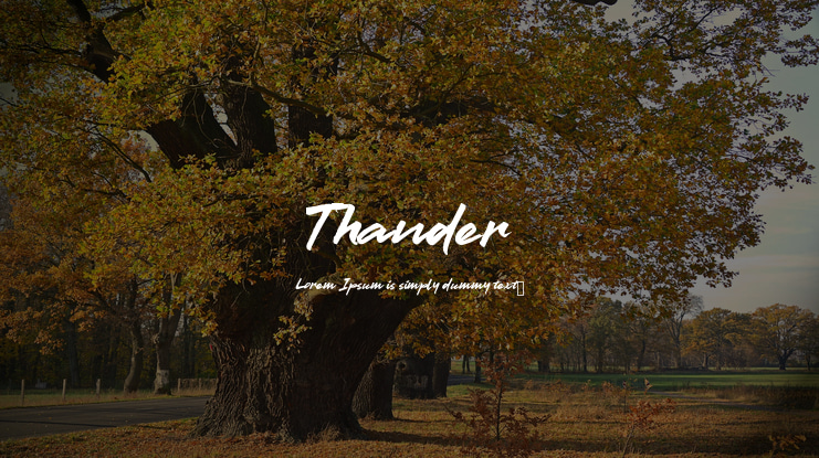 Thander Font