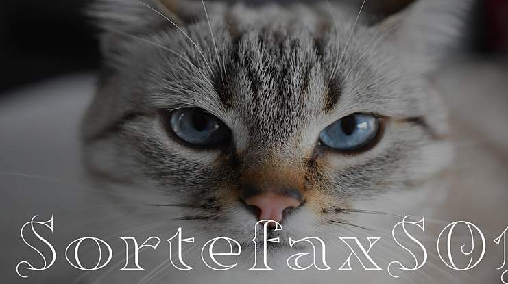 SortefaxS01 Font Family