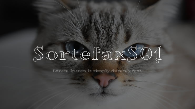 SortefaxS01 Font Family