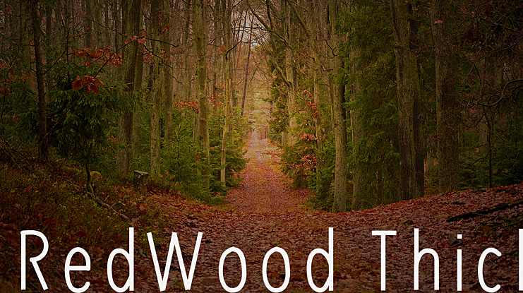 RedWood Oblique Font Family