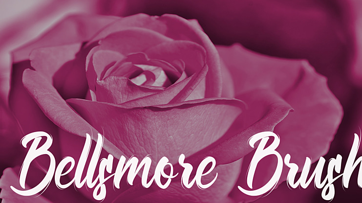 Bellsmore Brush Font