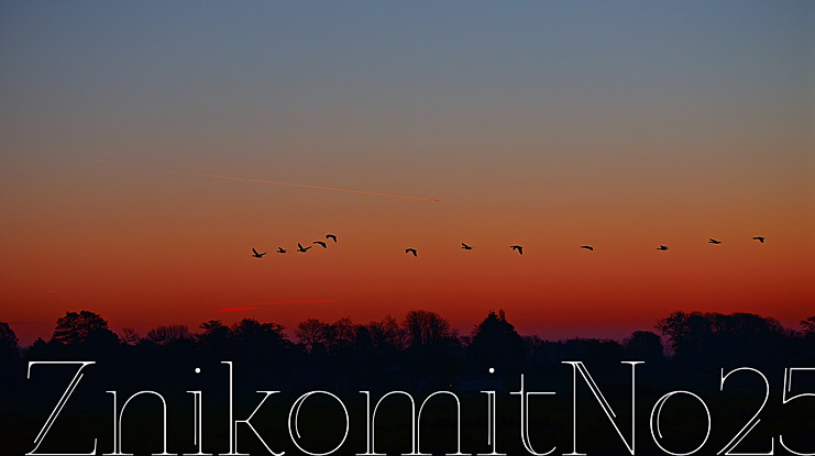 ZnikomitNo25 Font