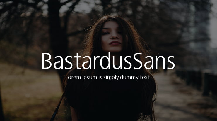 BastardusSans Font
