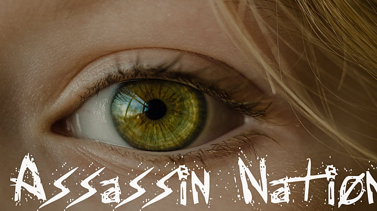 Assassin Nation Font Family