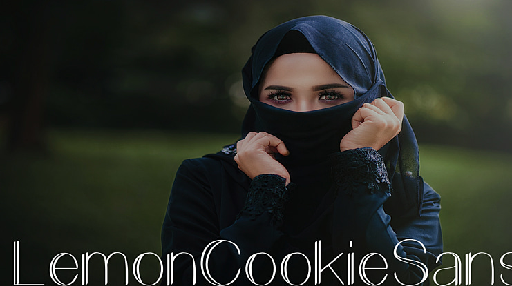 LemonCookieSans Font Family