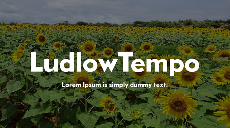 LudlowTempo Font