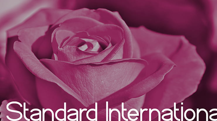 Standard International Font