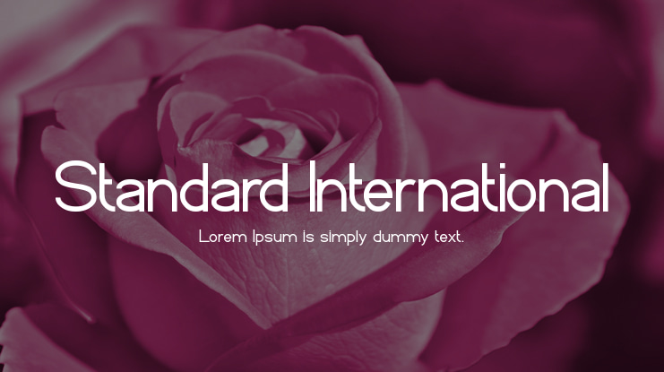 Standard International Font