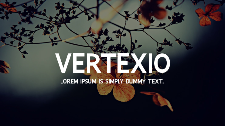 Vertexio Font