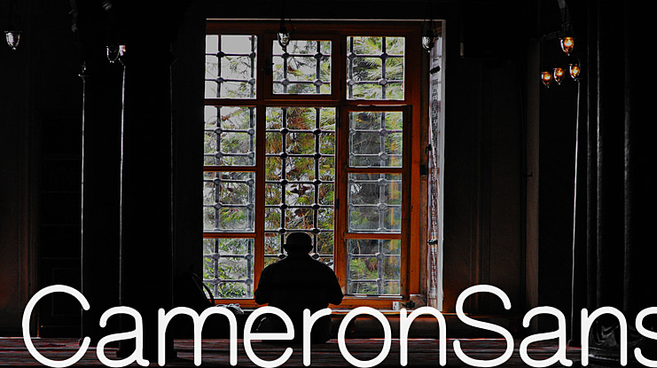 CameronSans Font Family