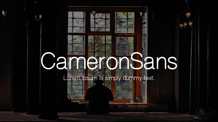 CameronSans Font Family