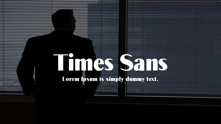 Times Sans Font