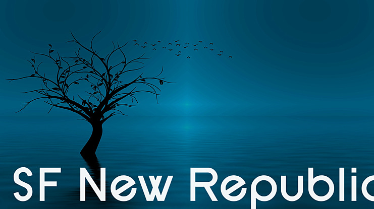 SF New Republic Font Family